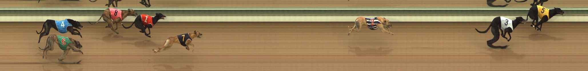 Photo finish for The Meadows Race 7