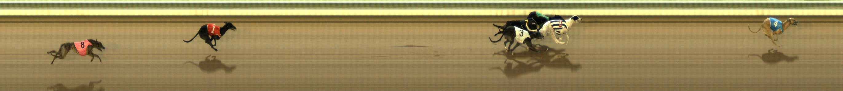Photo finish for The Meadows Race 8