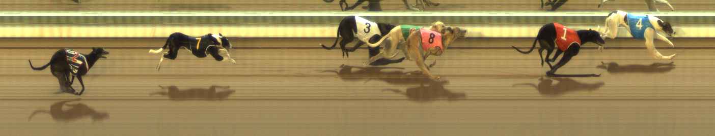Photo finish for The Meadows Race 9