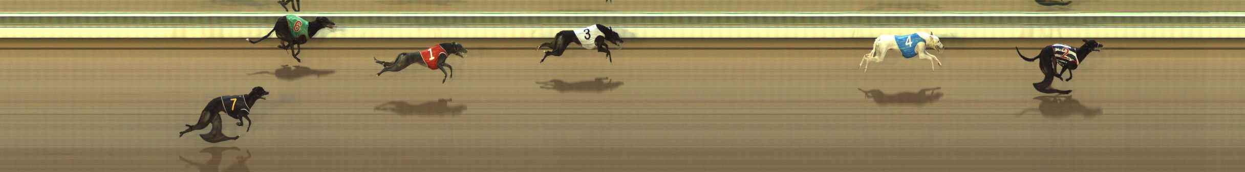 Photo finish for The Meadows Race 10