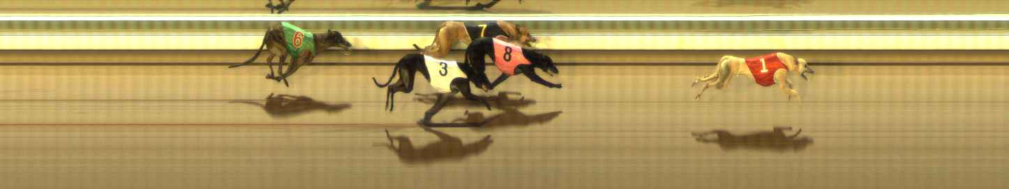 Photo finish for The Meadows Race 11