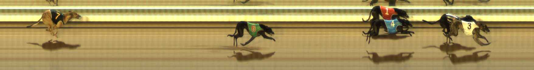 Photo finish for The Meadows Race 12