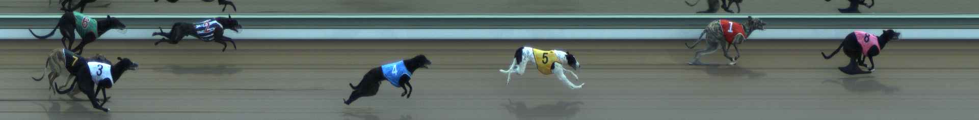 Photo finish for The Meadows Race 1