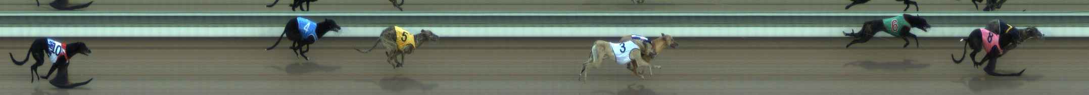 Photo finish for The Meadows Race 2