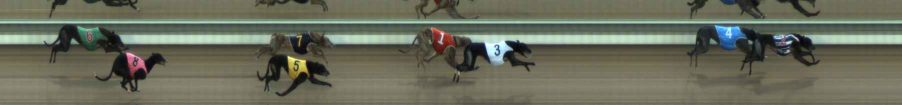 Photo finish for The Meadows Race 4