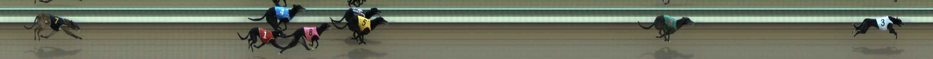 Photo finish for The Meadows Race 5