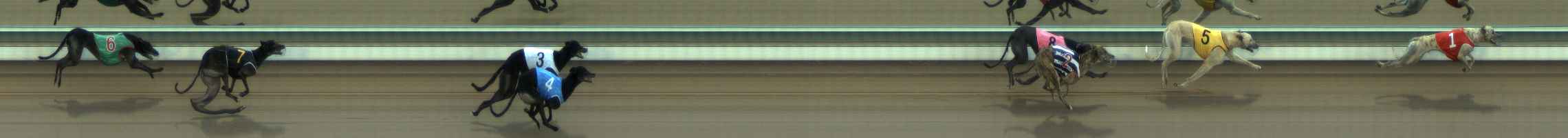 Photo finish for The Meadows Race 6