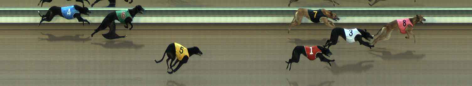 Photo finish for The Meadows Race 7