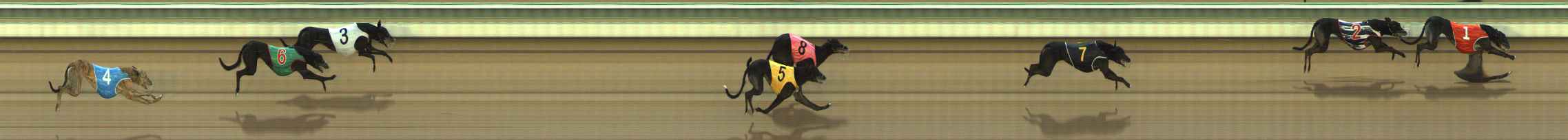 Photo finish for The Meadows Race 8