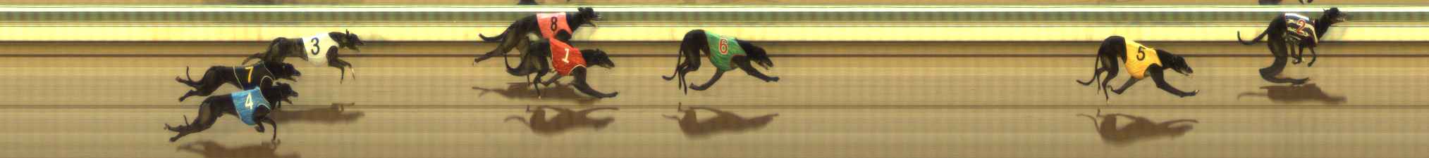 Photo finish for The Meadows Race 9