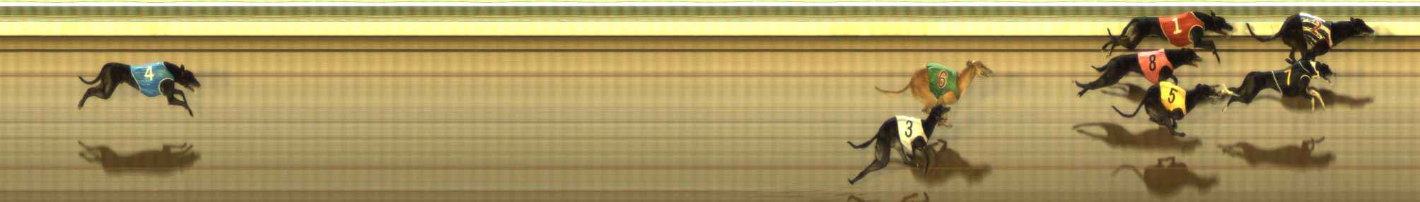 Photo finish for The Meadows Race 10