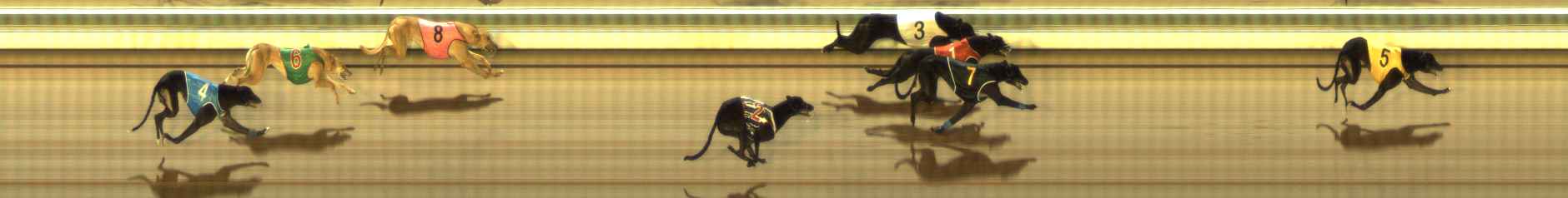 Photo finish for The Meadows Race 11