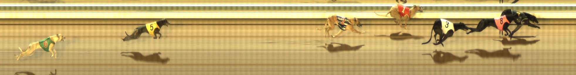 Photo finish for The Meadows Race 12