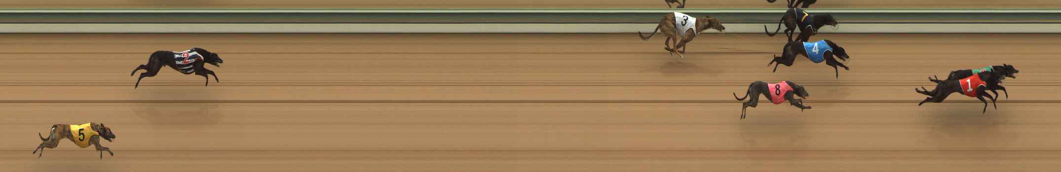 Photo finish for The Meadows Race 2