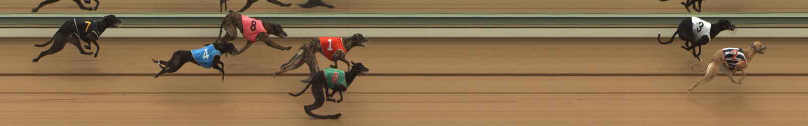 Photo finish for The Meadows Race 4