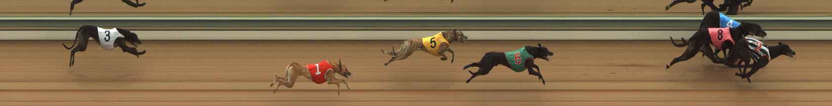 Photo finish for The Meadows Race 5