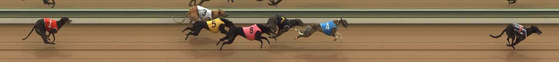 Photo finish for The Meadows Race 6