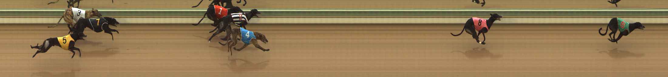 Photo finish for The Meadows Race 7