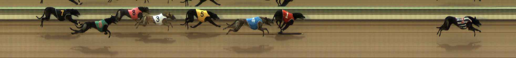 Photo finish for The Meadows Race 8