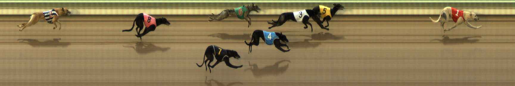 Photo finish for The Meadows Race 9