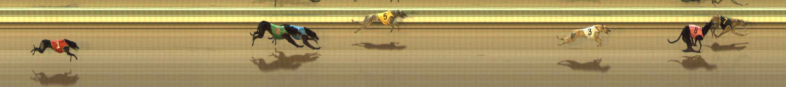 Photo finish for The Meadows Race 10