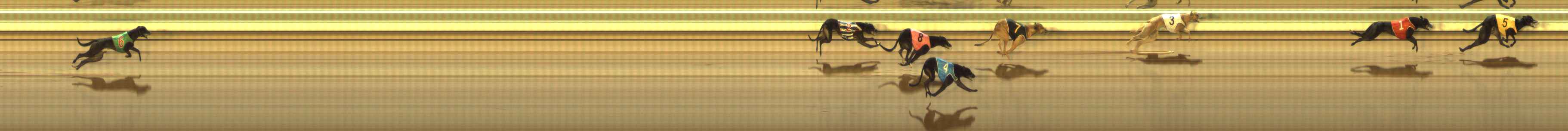 Photo finish for The Meadows Race 11
