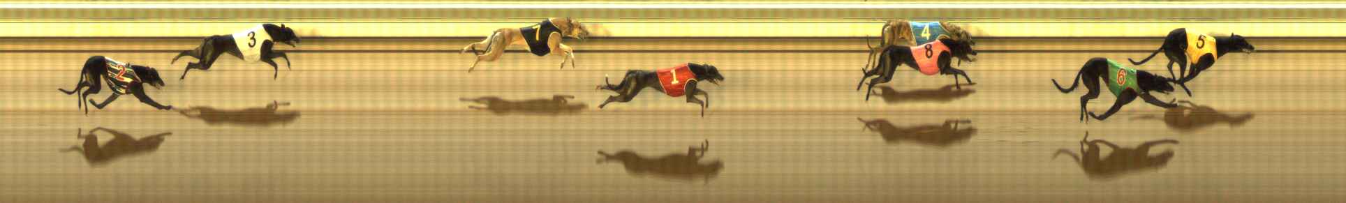 Photo finish for The Meadows Race 12