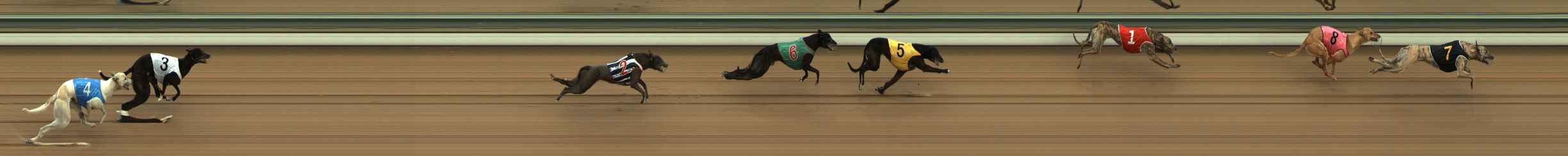 Photo finish for The Meadows Race 1