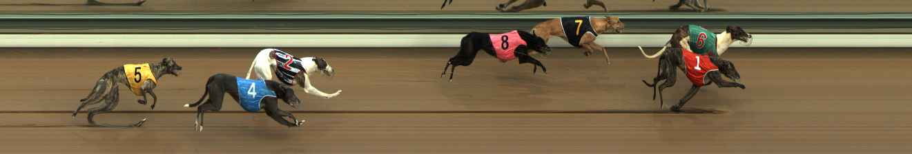 Photo finish for The Meadows Race 2