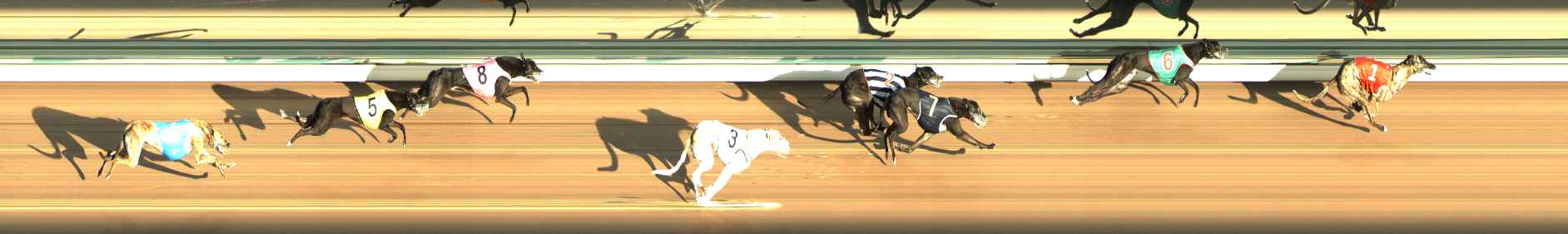 Photo finish for The Meadows Race 3