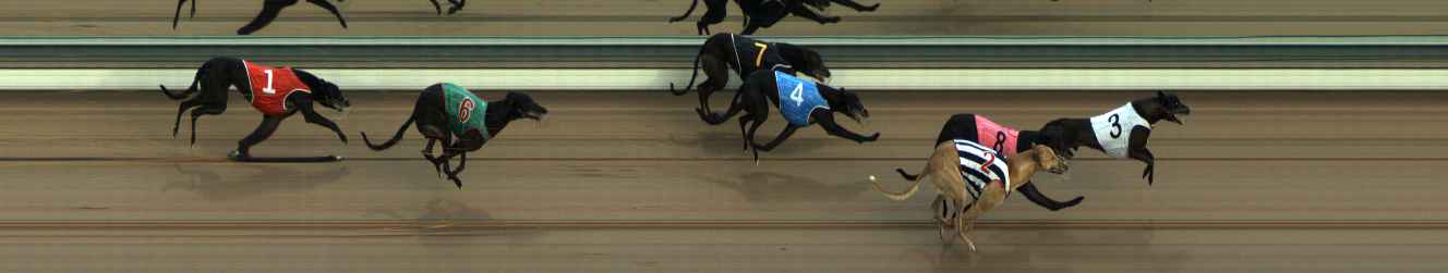 Photo finish for The Meadows Race 4