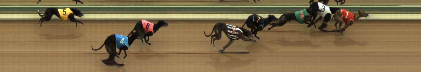 Photo finish for The Meadows Race 6