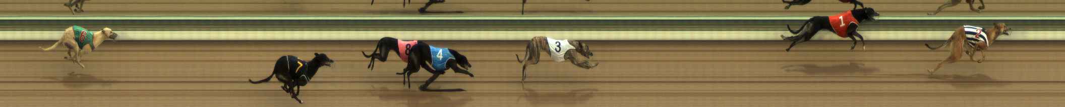 Photo finish for The Meadows Race 7
