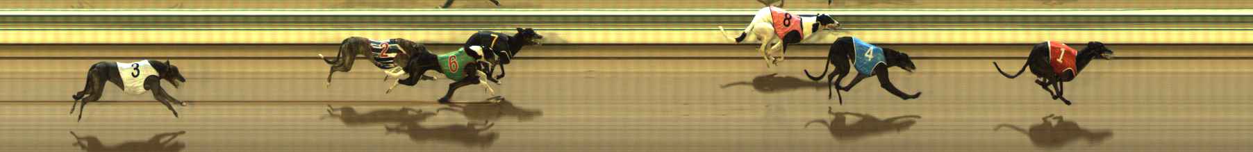 Photo finish for The Meadows Race 9