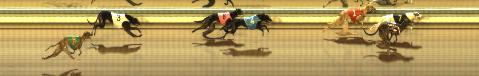Photo finish for The Meadows Race 12