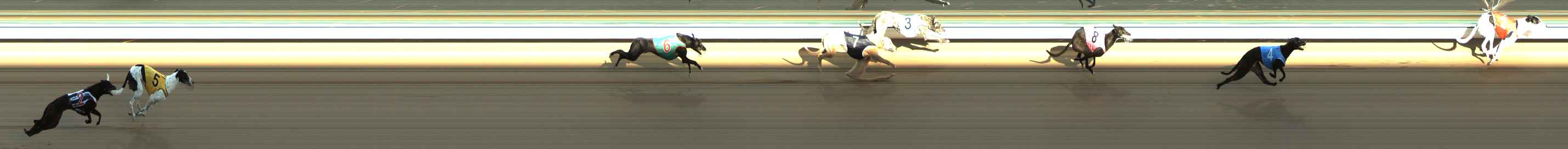 Photo finish for The Meadows Race 1