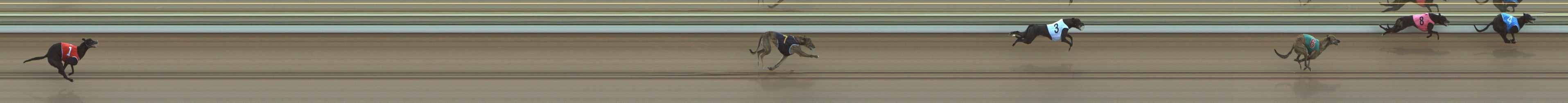 Photo finish for The Meadows Race 2