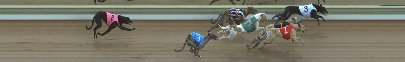 Photo finish for The Meadows Race 3