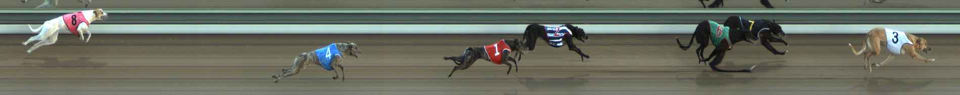 Photo finish for The Meadows Race 4