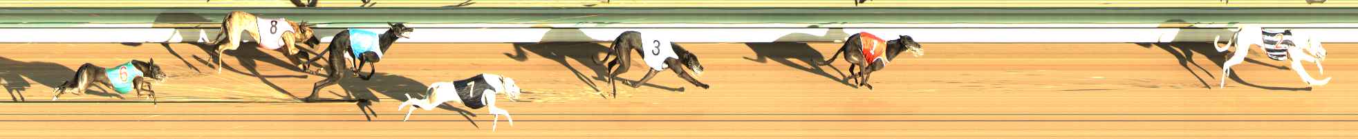 Photo finish for The Meadows Race 5