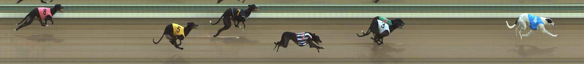 Photo finish for The Meadows Race 6