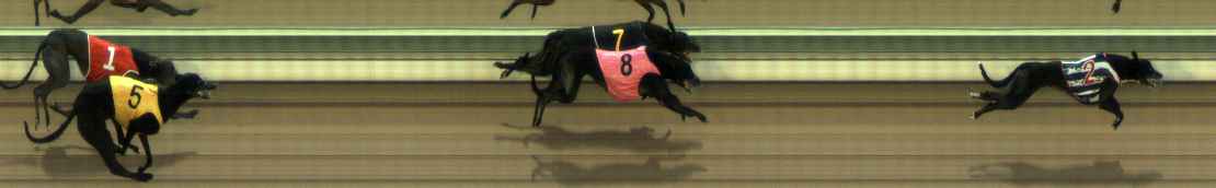 Photo finish for The Meadows Race 9