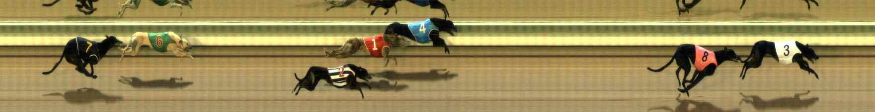 Photo finish for The Meadows Race 10