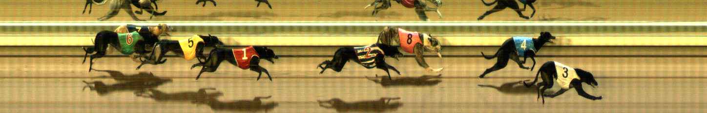 Photo finish for The Meadows Race 11