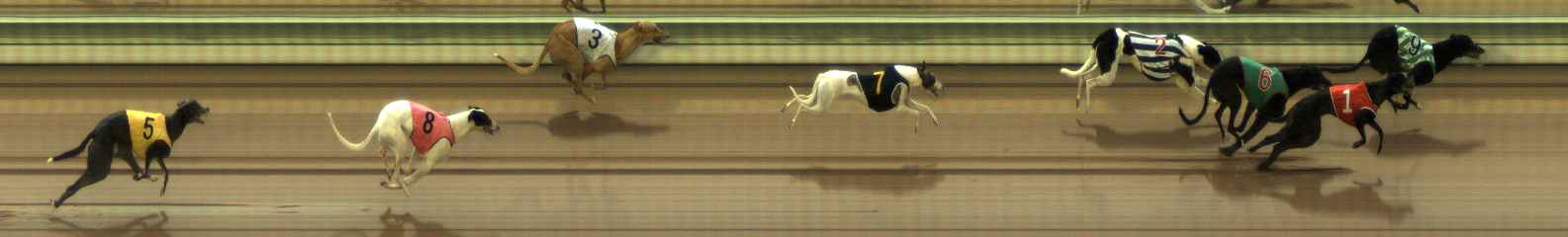 Photo finish for The Meadows Race 2