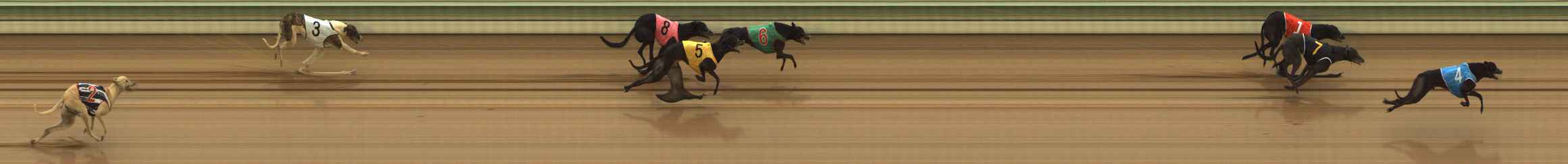 Photo finish for The Meadows Race 4