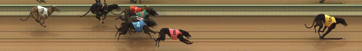 Photo finish for The Meadows Race 5