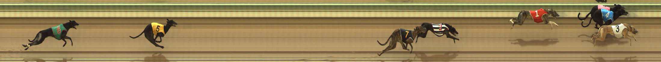 Photo finish for The Meadows Race 6