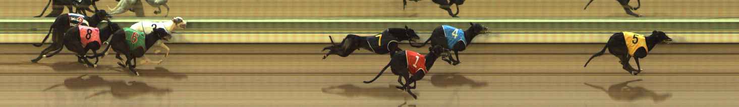 Photo finish for The Meadows Race 7