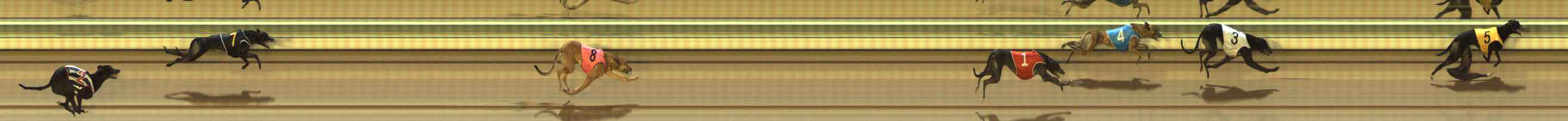 Photo finish for The Meadows Race 8